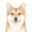 初然忆