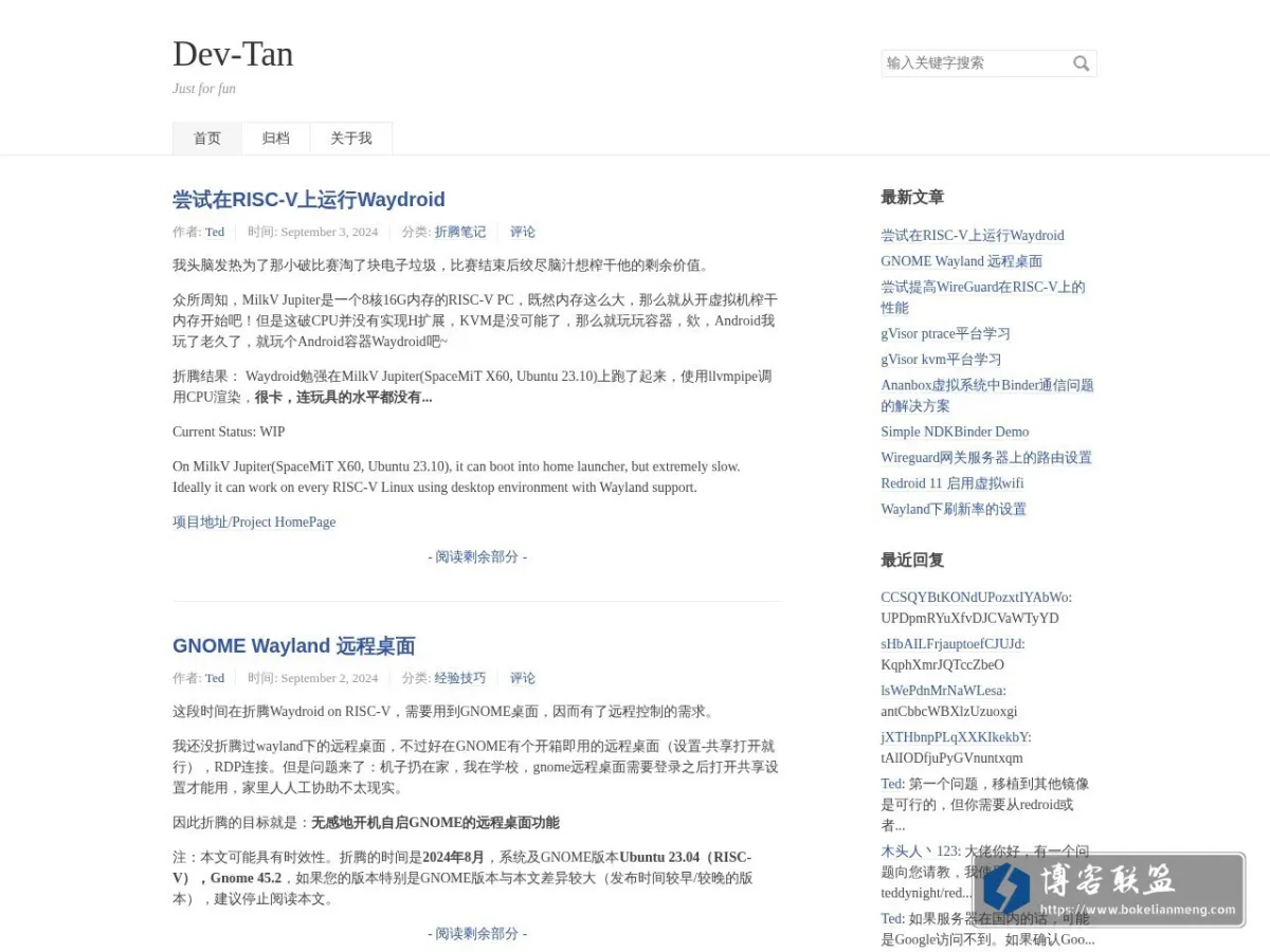 Dev-Tan 的网站快照
