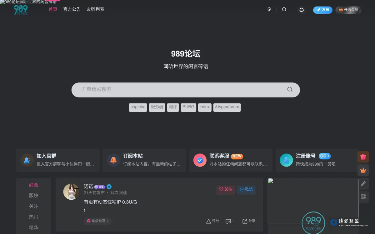 www.989vps.com 的网站快照