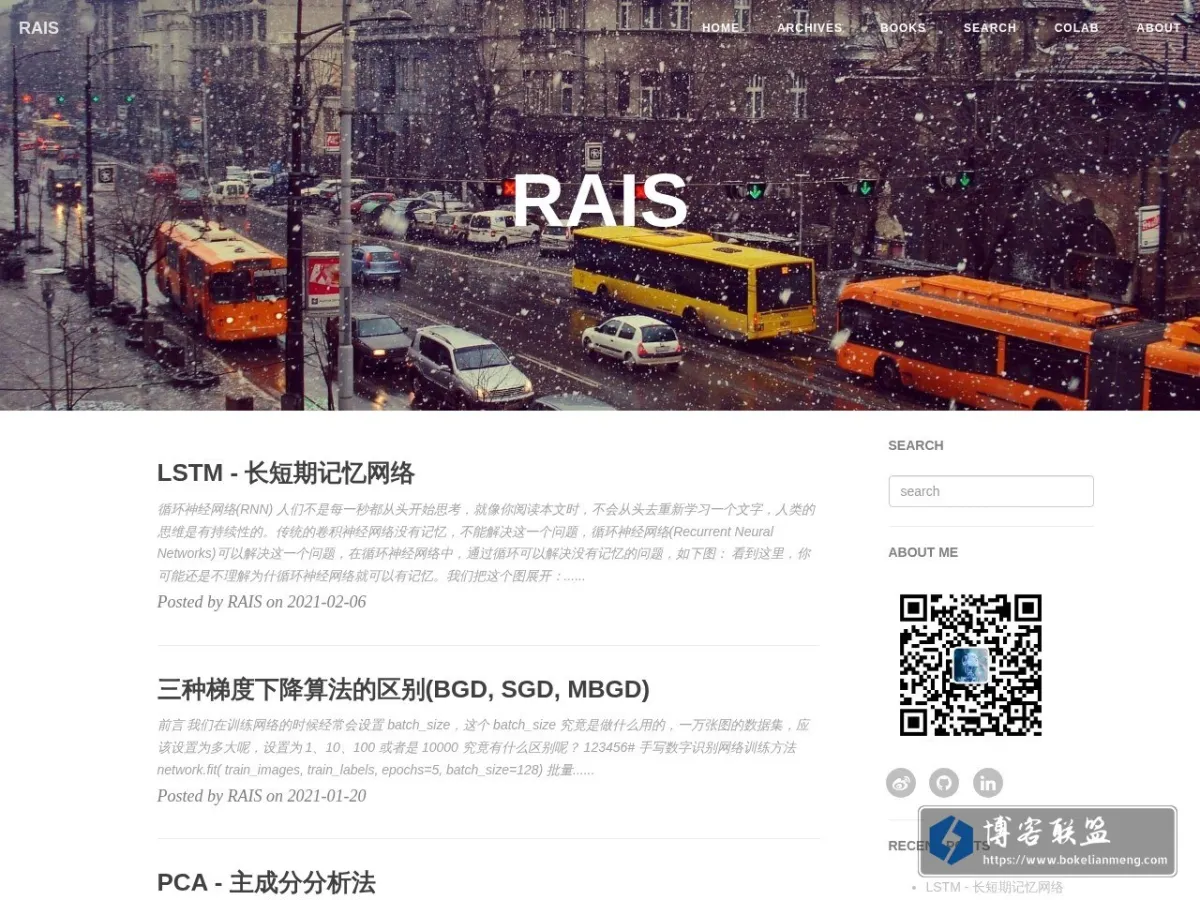 RAIS 的网站快照