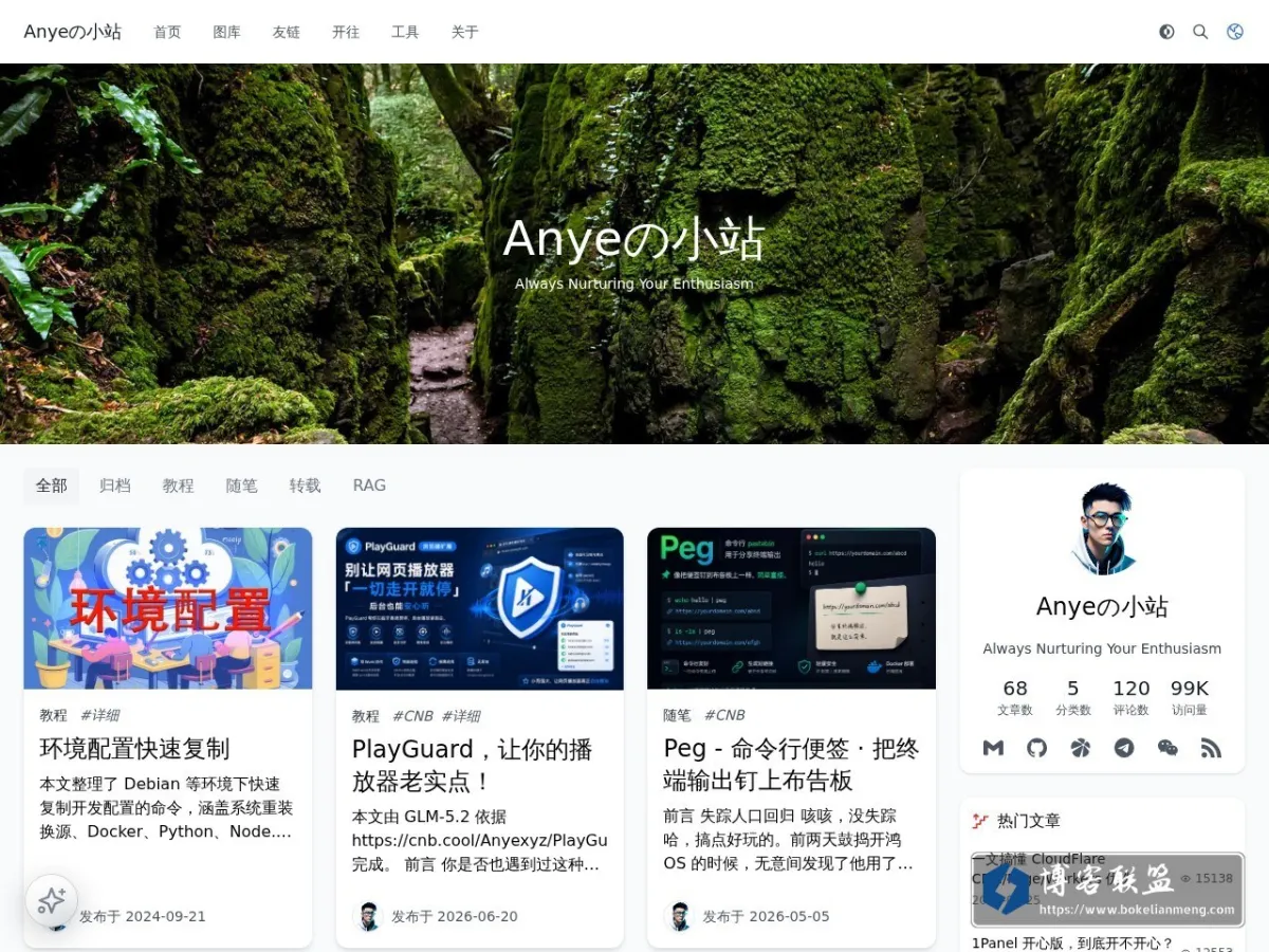 www.anye.xyz 的网站快照