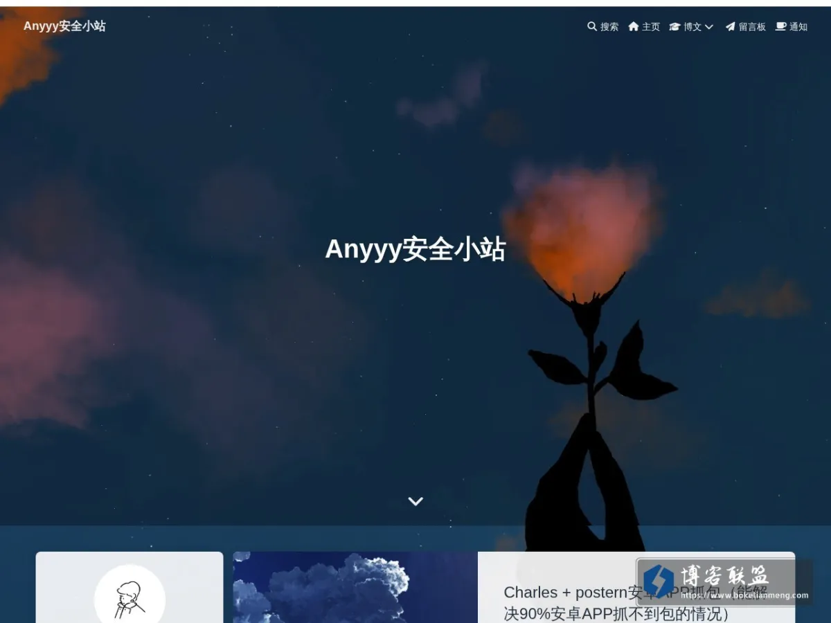Anyyy安全小站 的网站快照