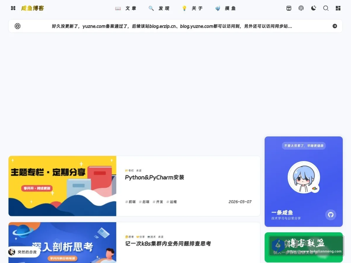 咸鱼博客 的网站快照