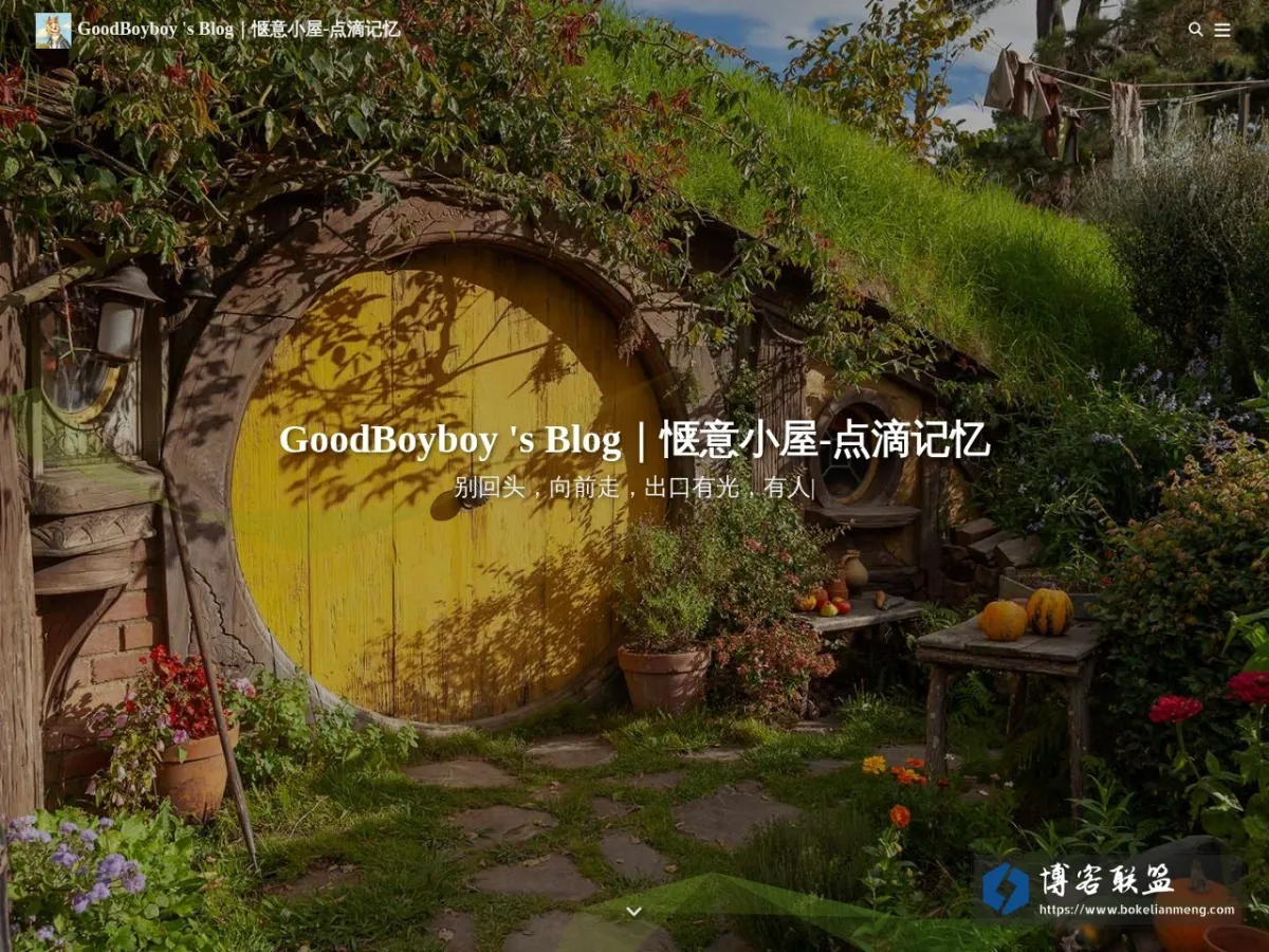 GoodBoyboy 's Blog 的网站快照