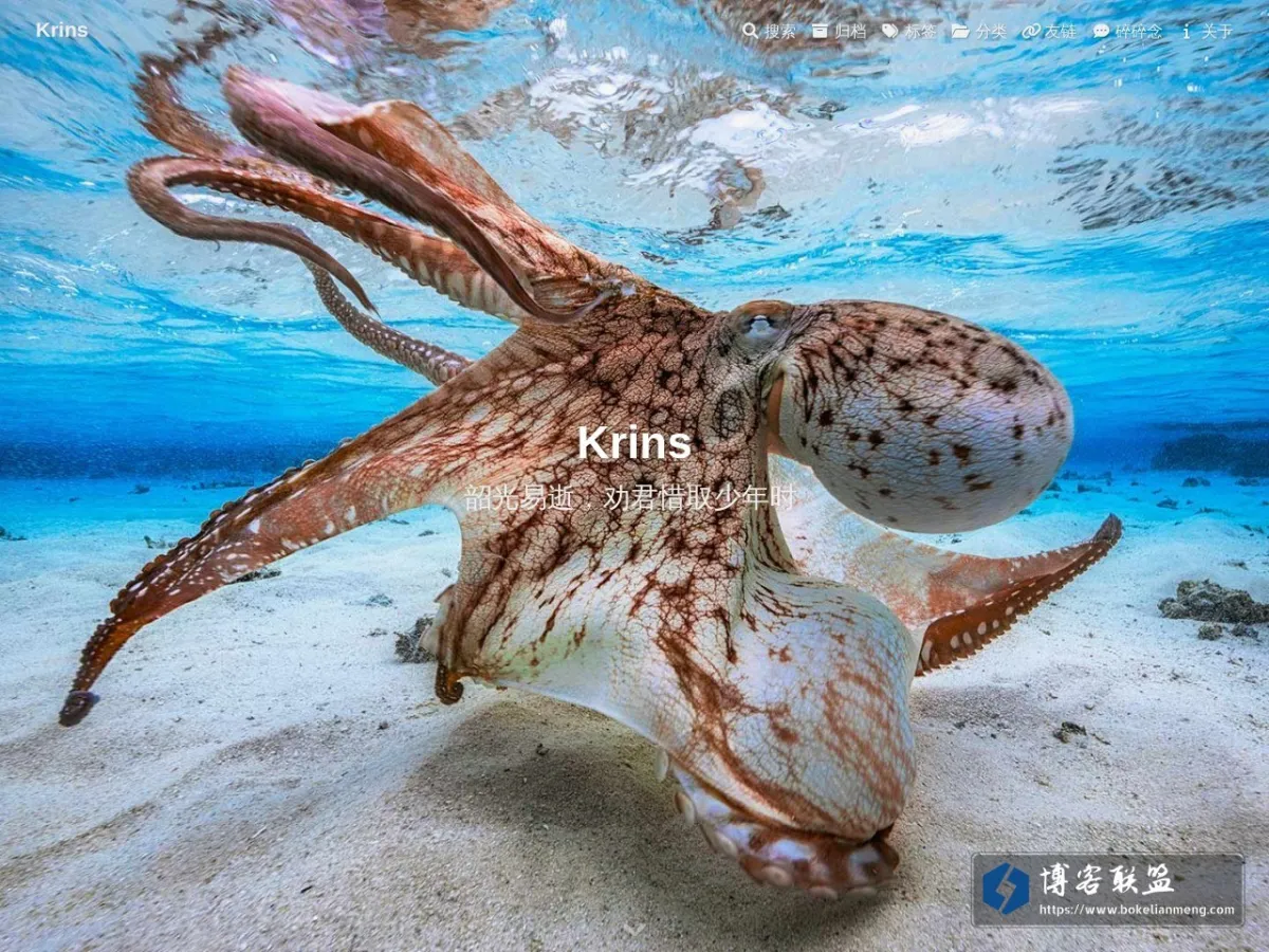 Krins 的网站快照