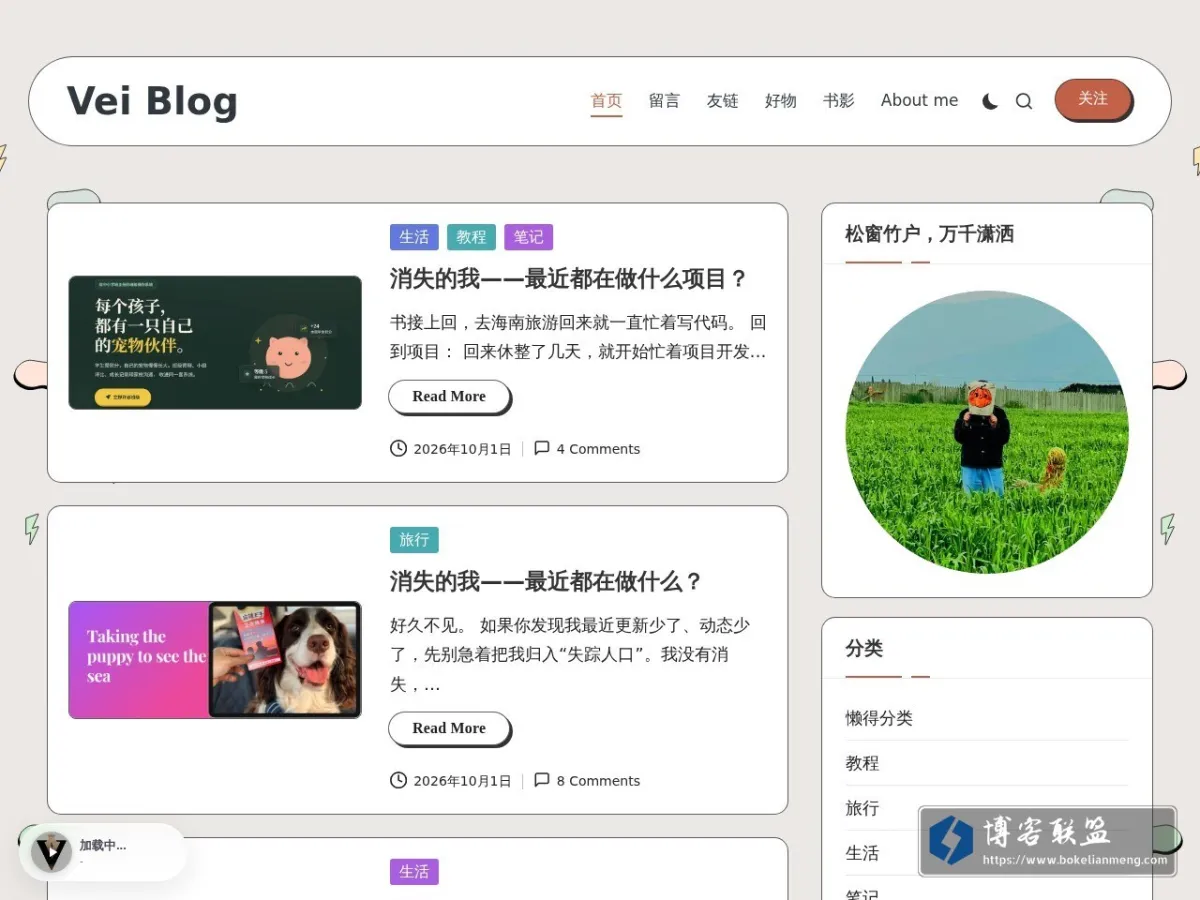 Vei Blog 的网站快照
