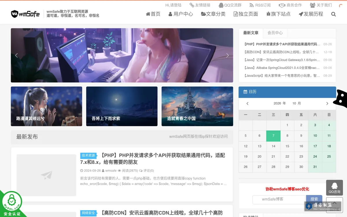 wmSafe博客 的网站快照