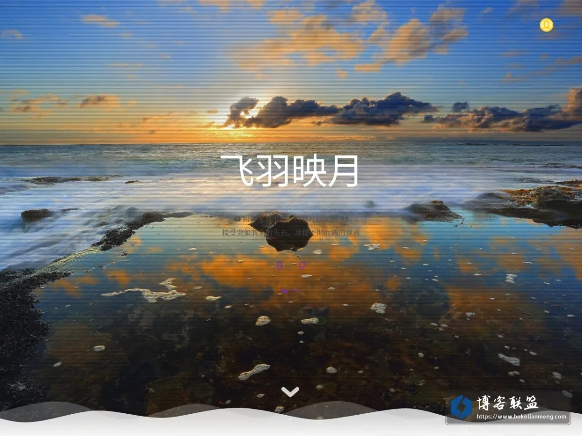 TOOMEY'S BLOG 的网站快照
