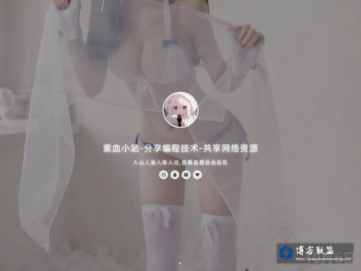 紫血小站-分享编程技术-共享网络资源 的网站快照