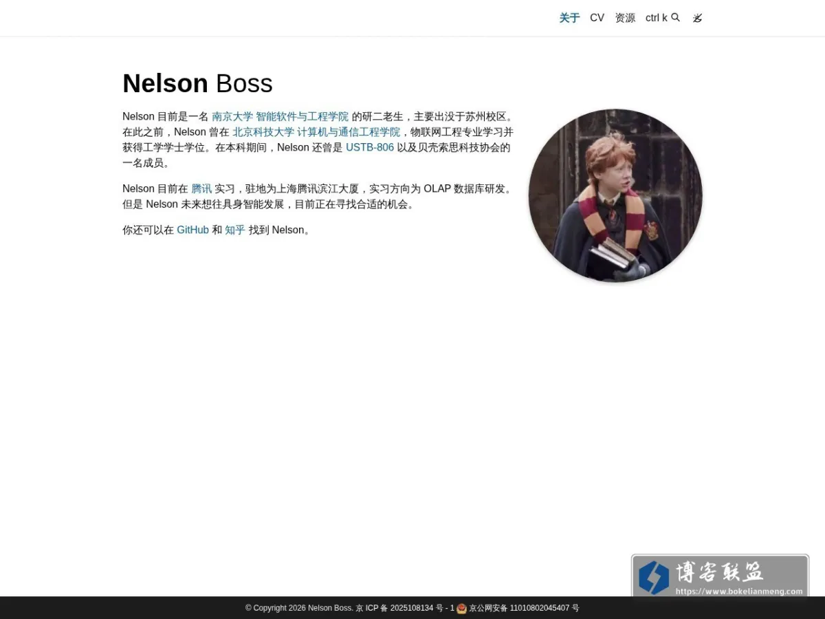 Nelson Boss 的网站快照