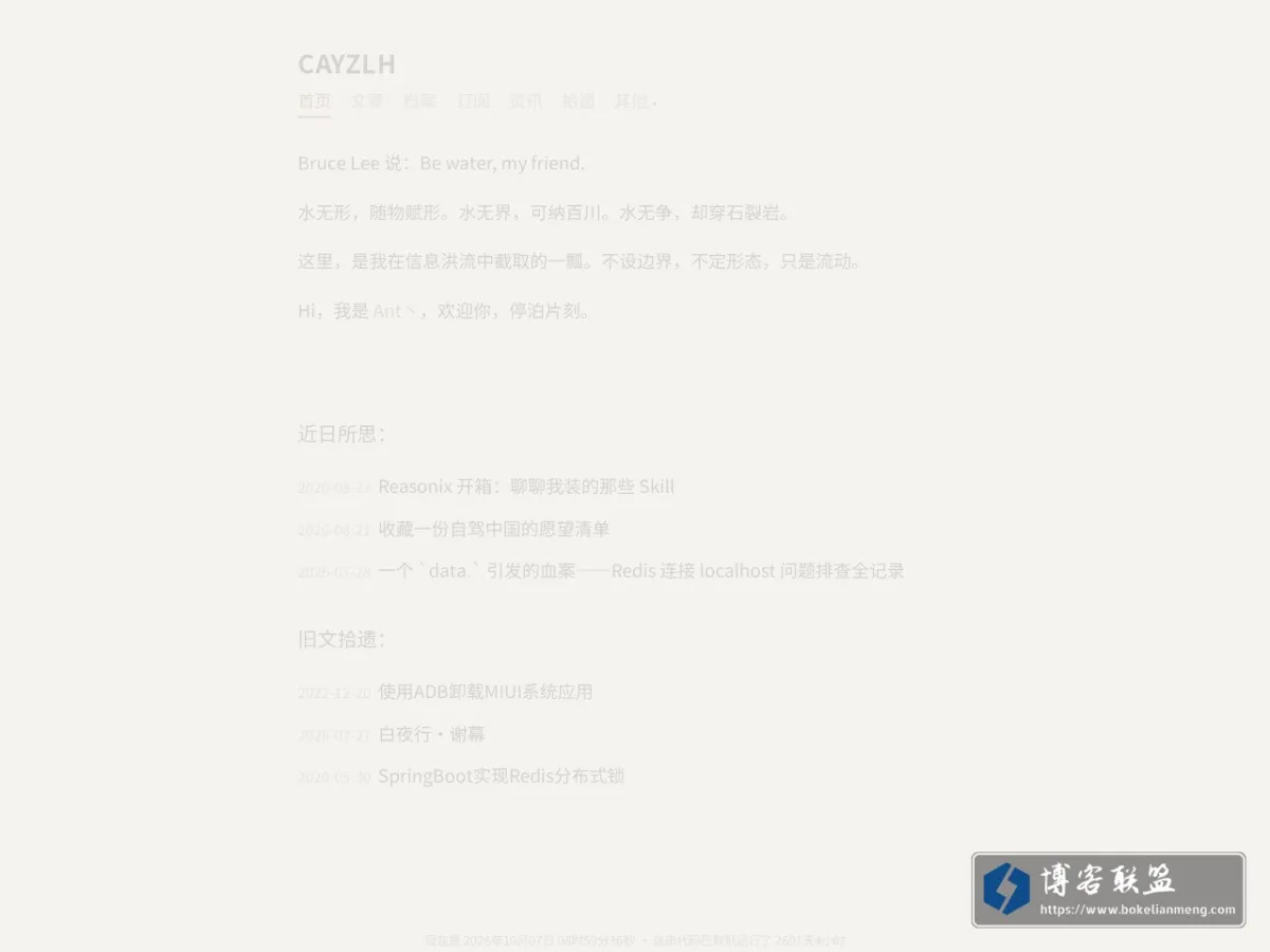 CAYZLH 的网站快照