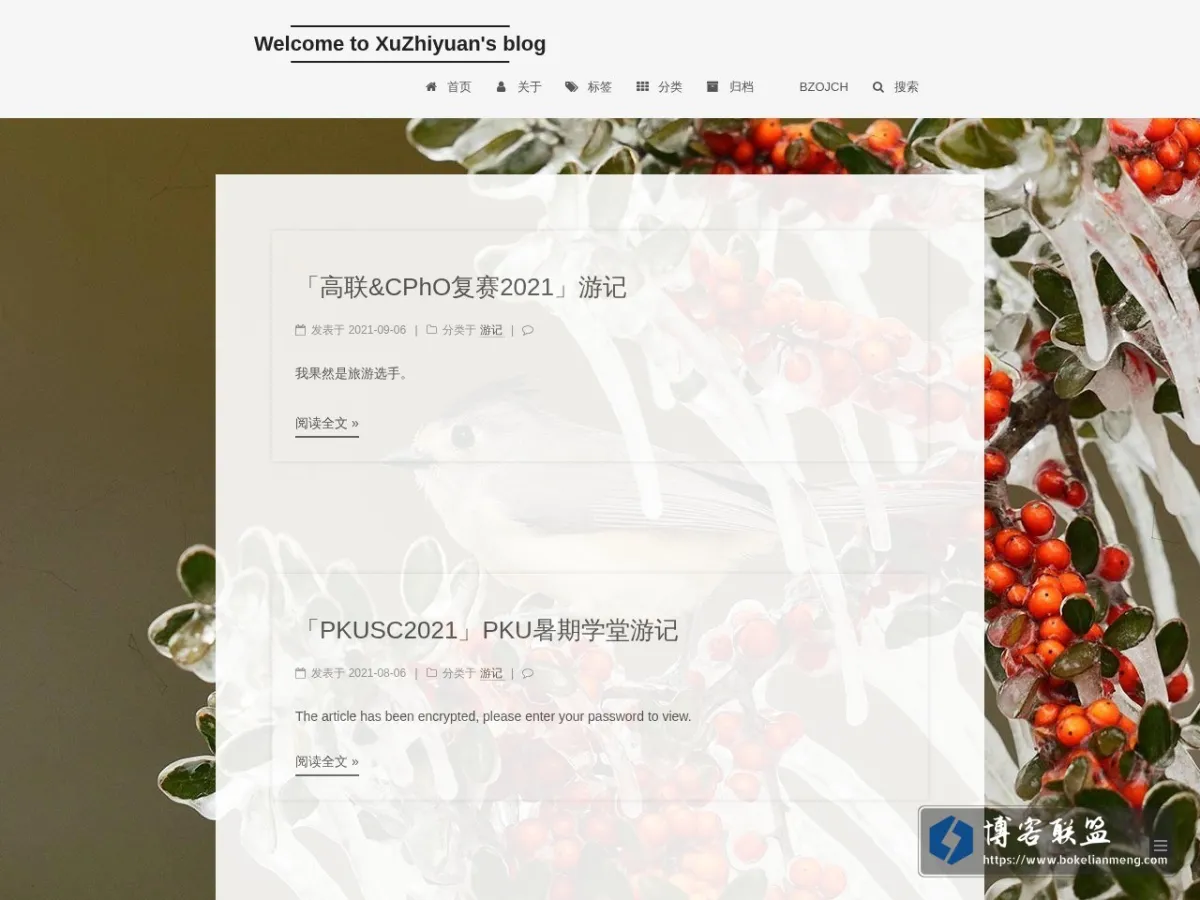 Welcome to XuZhiyuan's blog 的网站快照