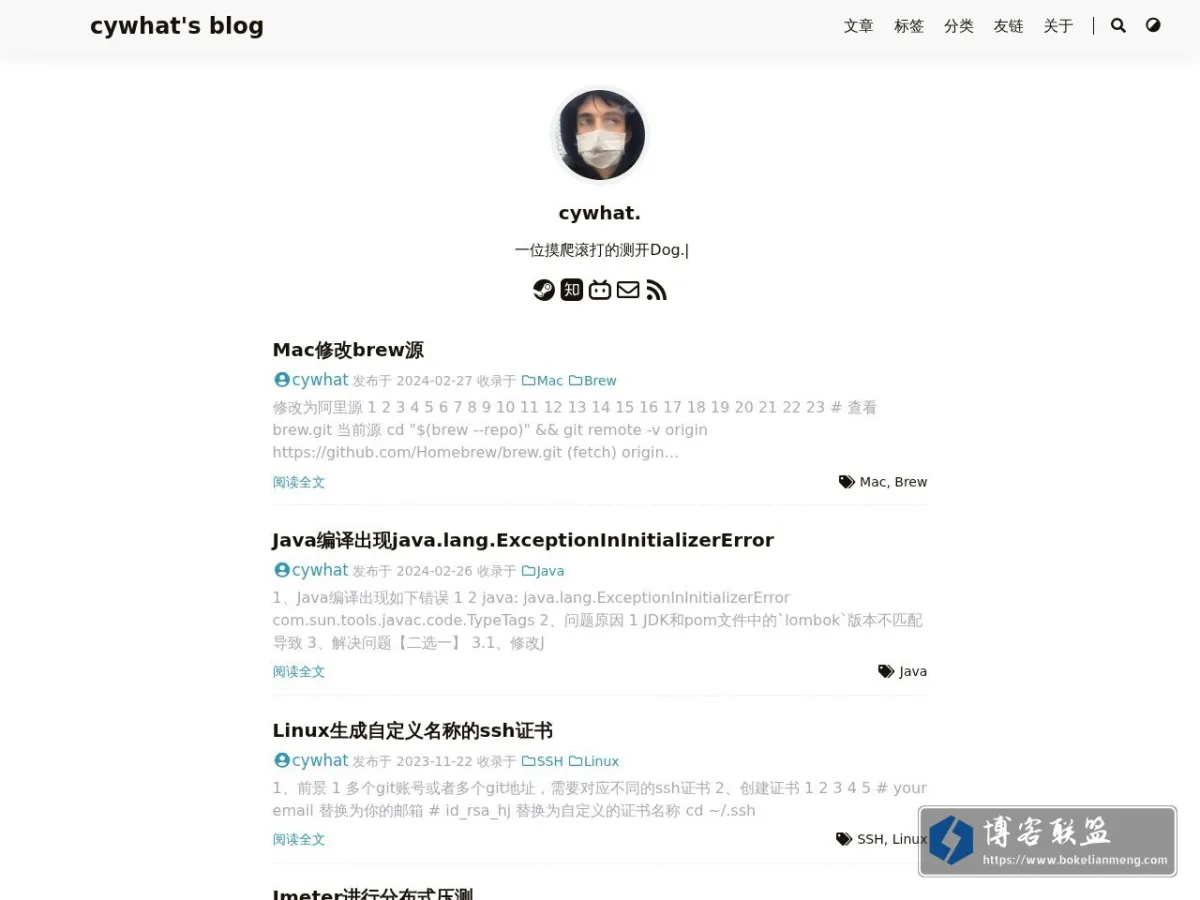 cywhat's blog 的网站快照
