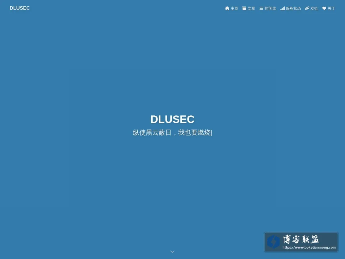 dlusec.cn 的网站快照