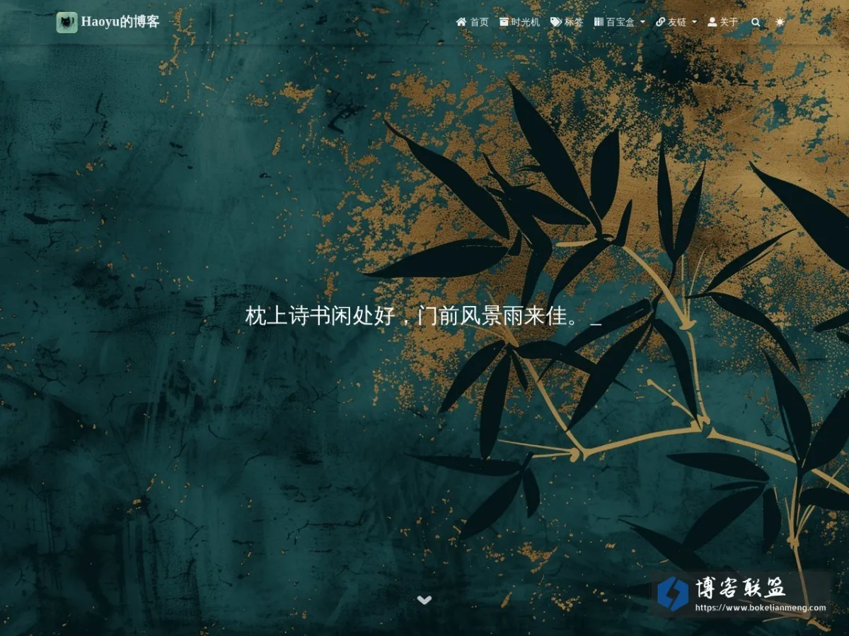 Haoyu的博客 的网站快照