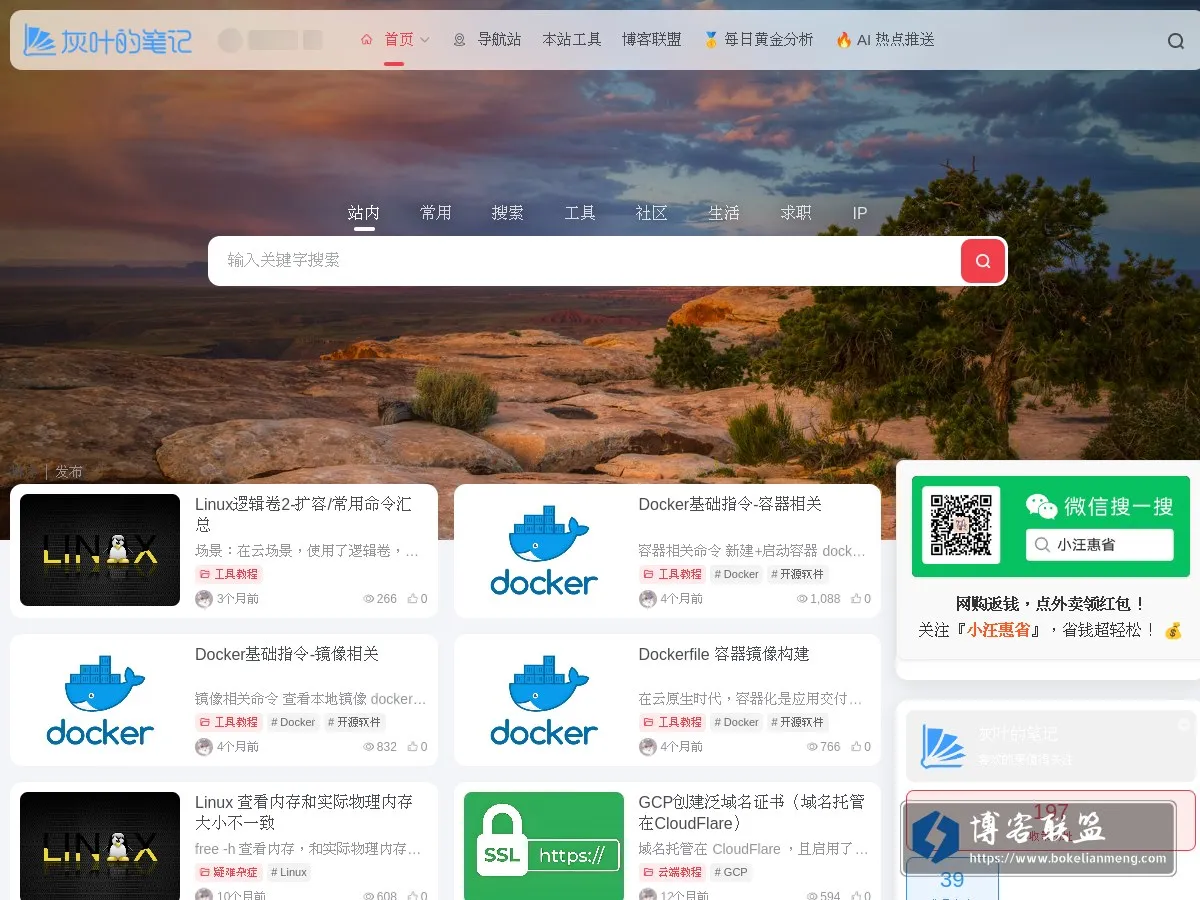 灰叶的笔记 的网站快照