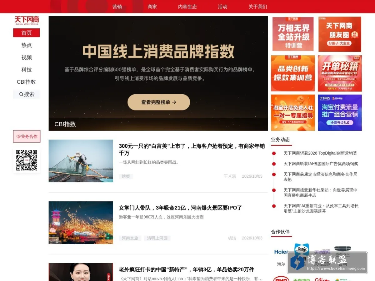 天下网商 的网站快照