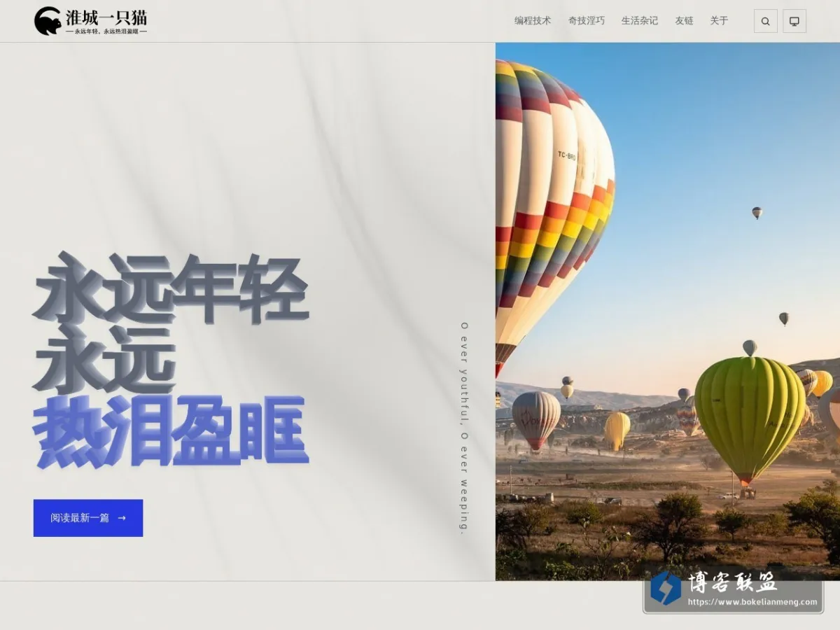 淮城一只猫 的网站快照