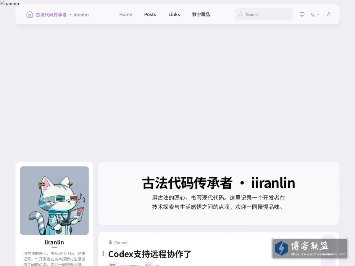 古法代码传承者 · iiranlin 的网站快照
