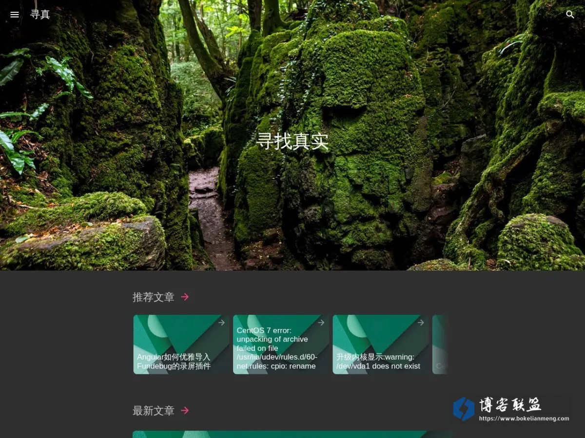 寻真 - 寻找技术真理 的网站快照