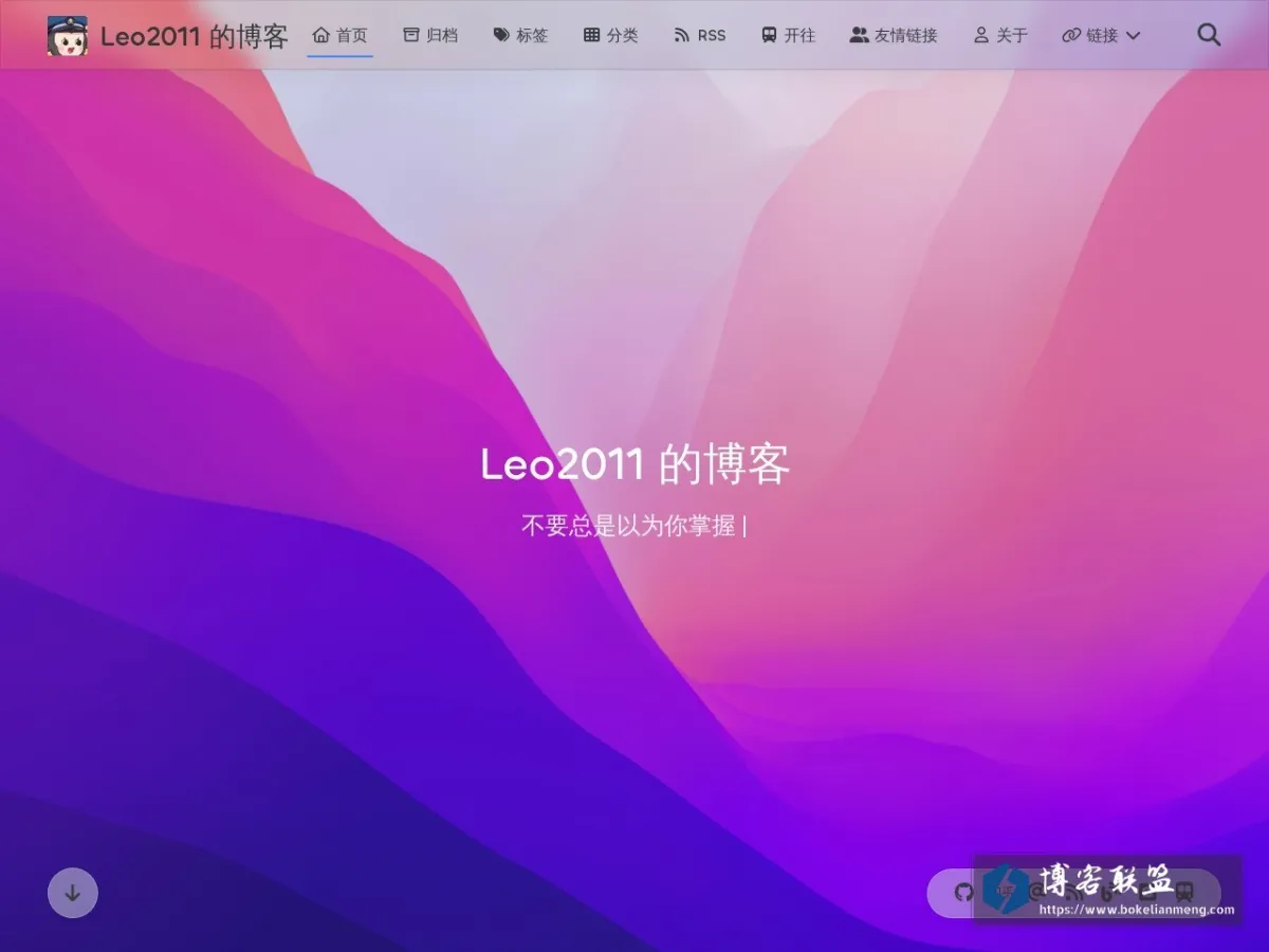 Leo2011 的博客 的网站快照