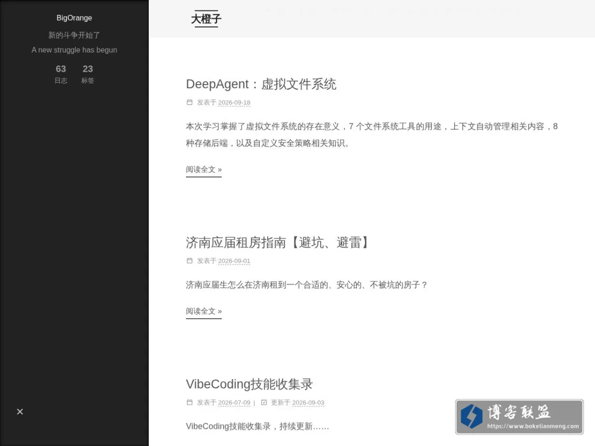 大橙子的知识杂货铺 的网站快照