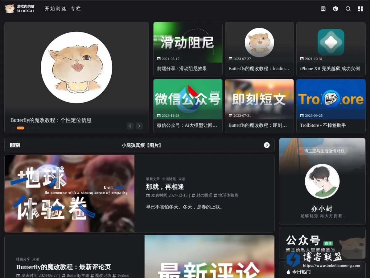爱吃肉的猫 的网站快照