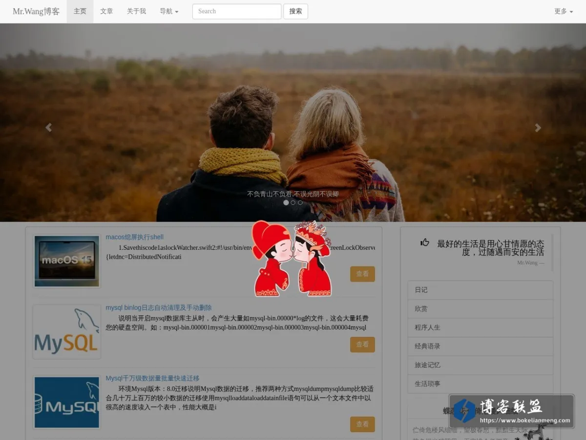 MR.WANG BLOG 的网站快照