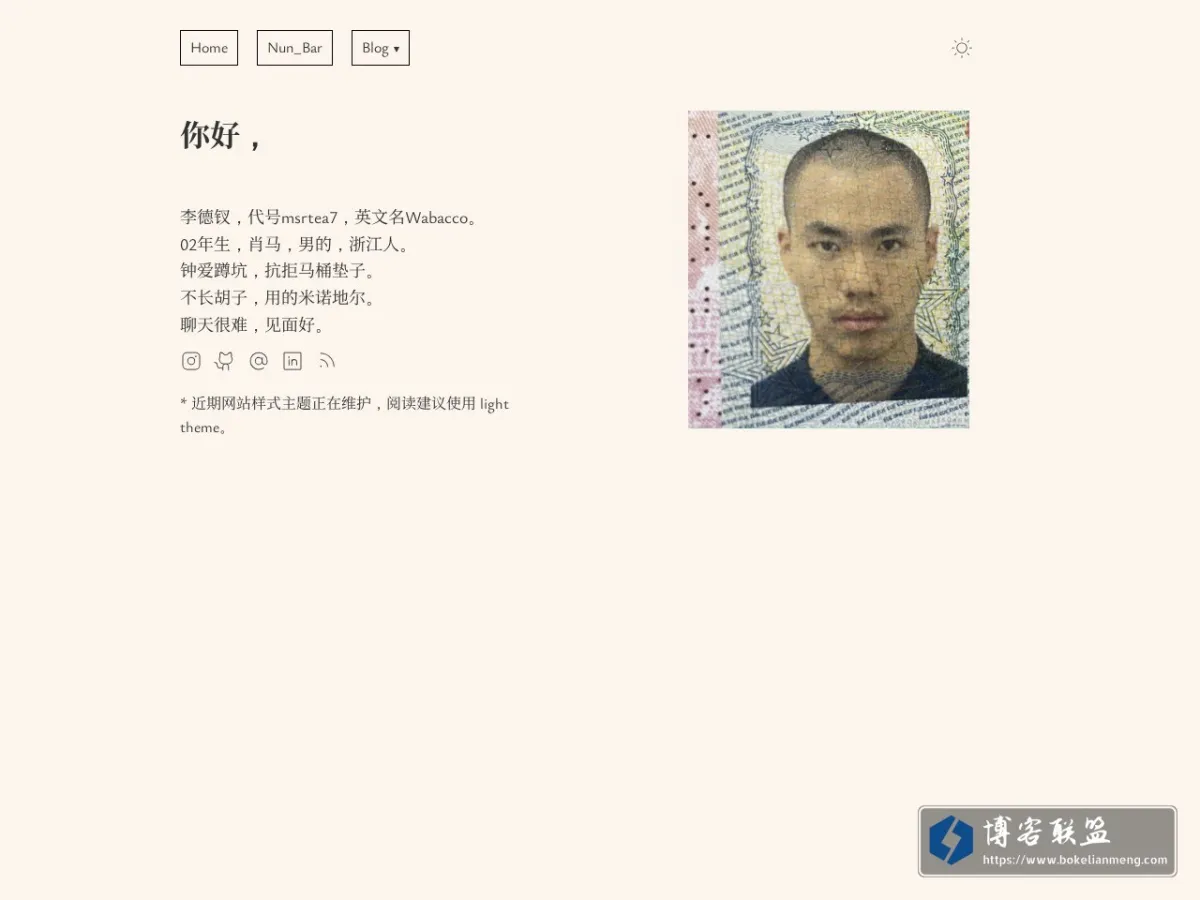 msrtea7 的网站快照