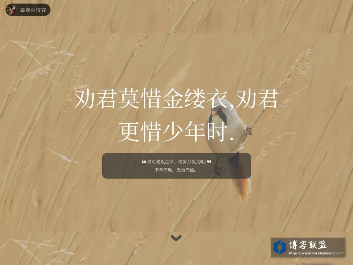 慕鸢の博客 的网站快照