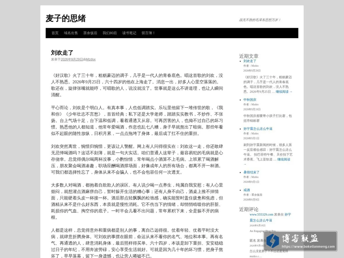 麦子的思绪 的网站快照