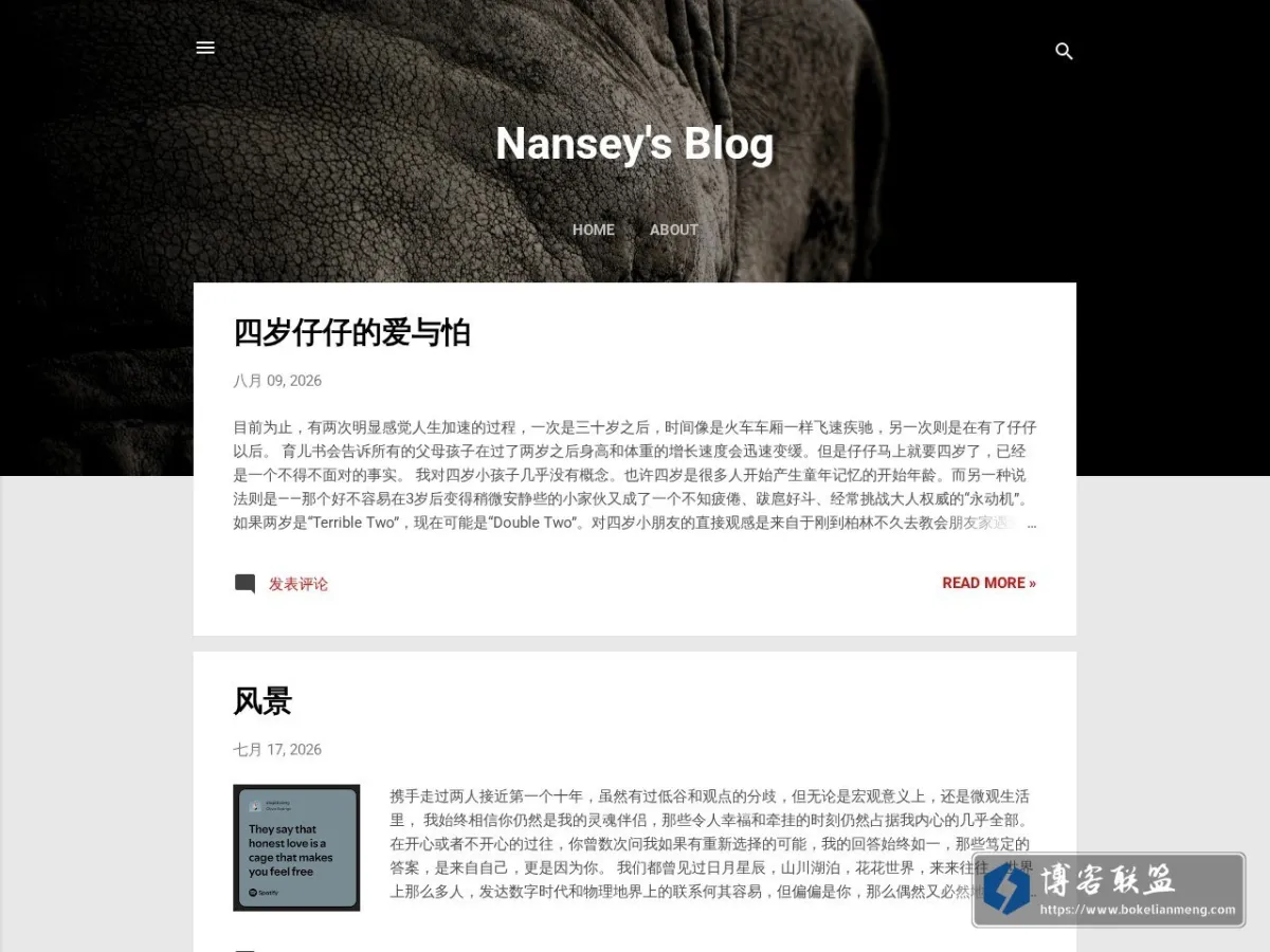 Nansey的博客 的网站快照