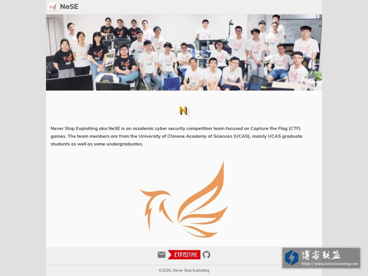 NeSE Team 的网站快照