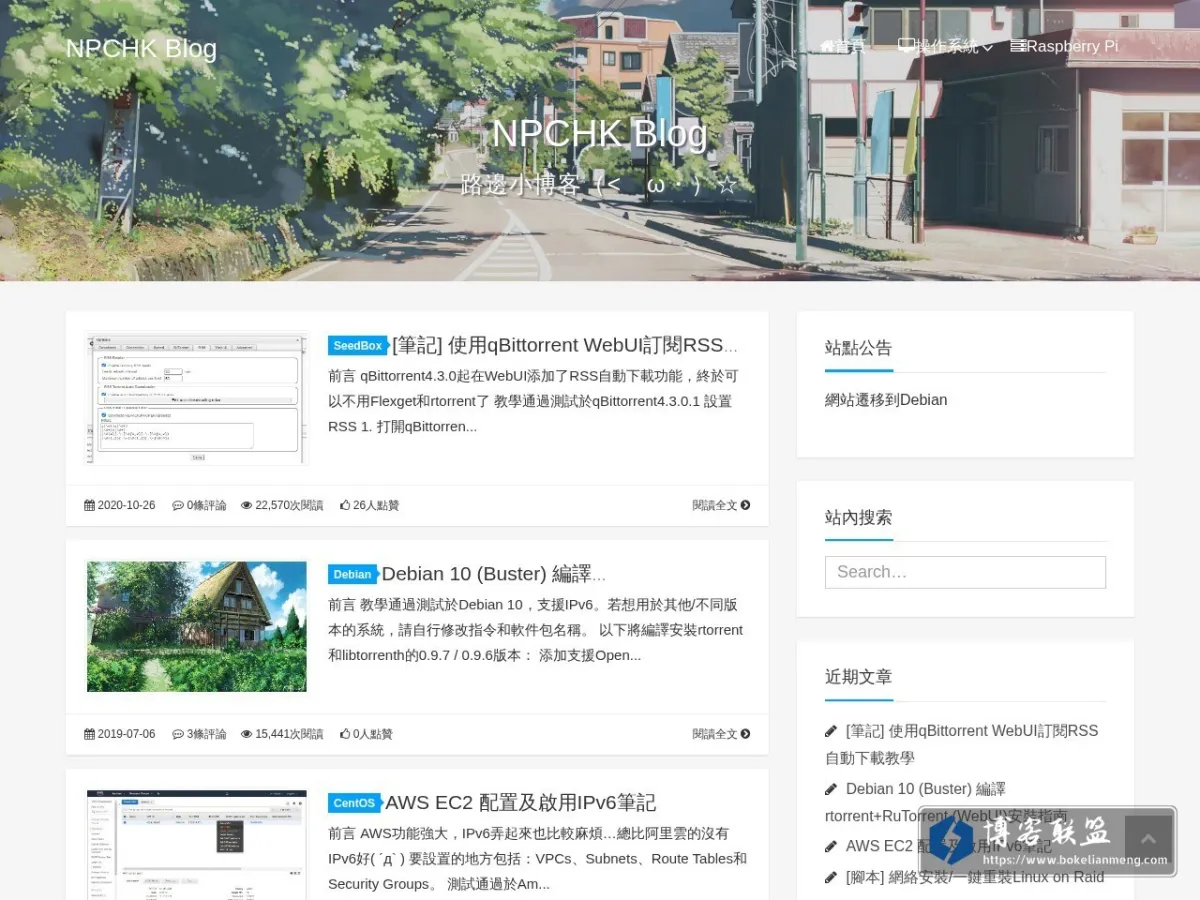 npchk.info 的网站快照
