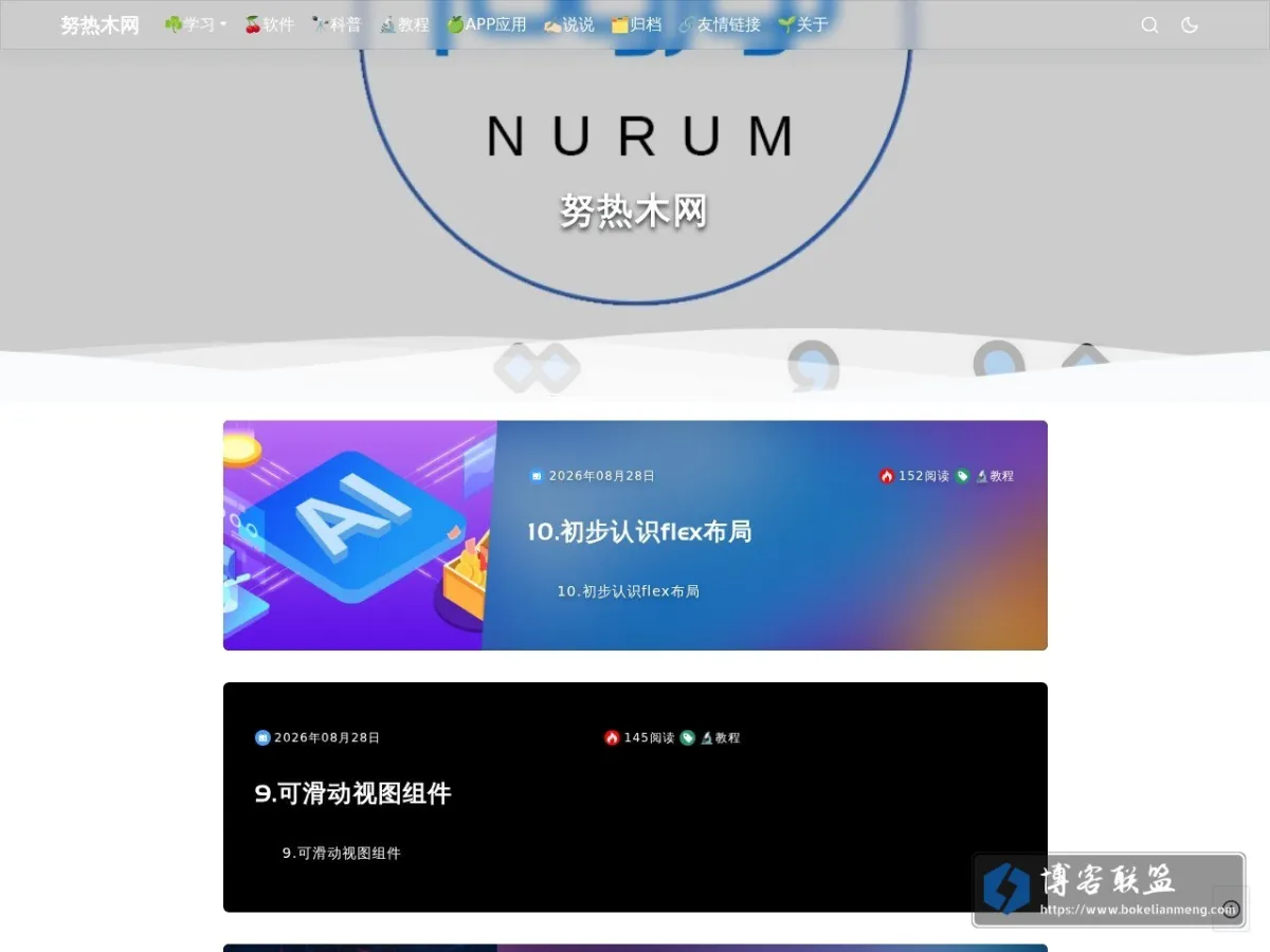 努热木网 的网站快照