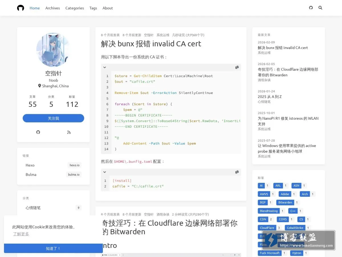 NullPointerException 的网站快照