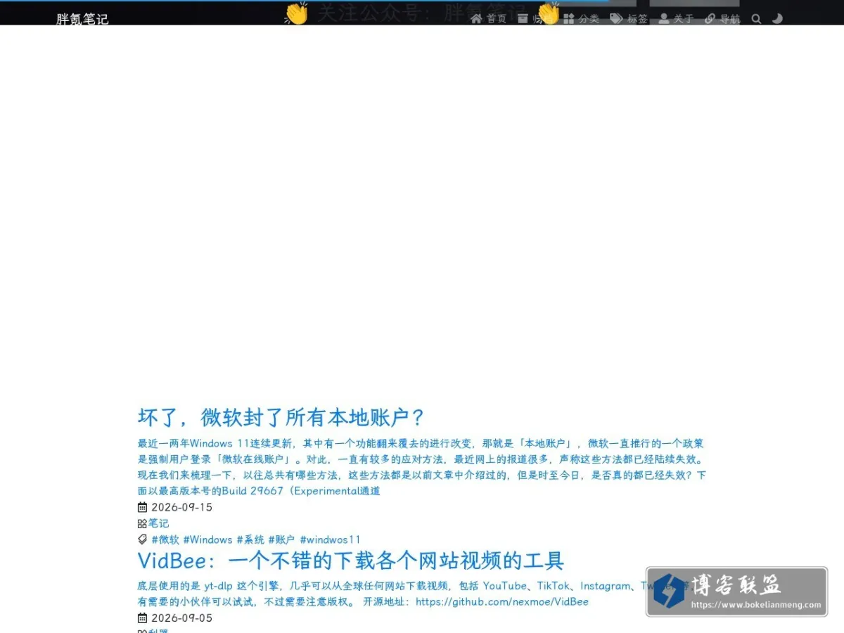 胖氪笔记 的网站快照