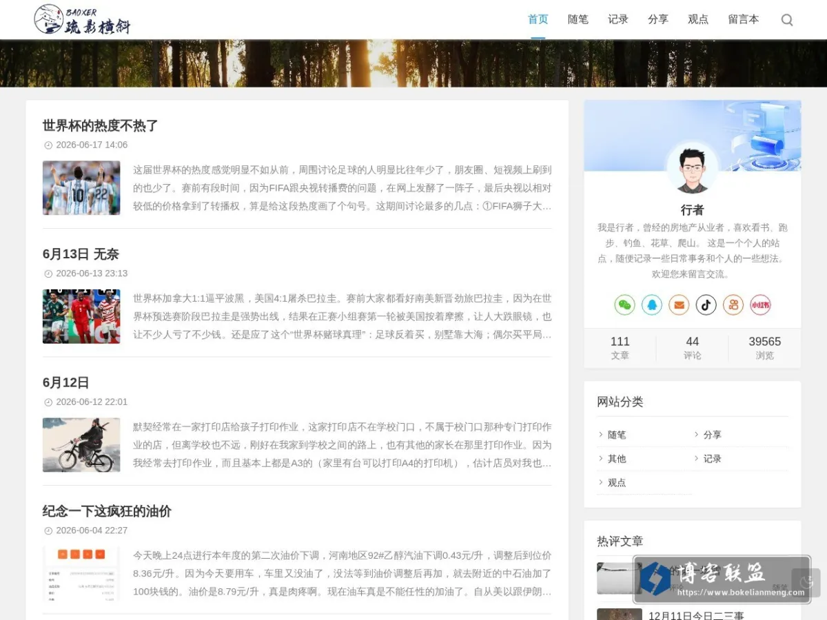 疏影横斜 的网站快照