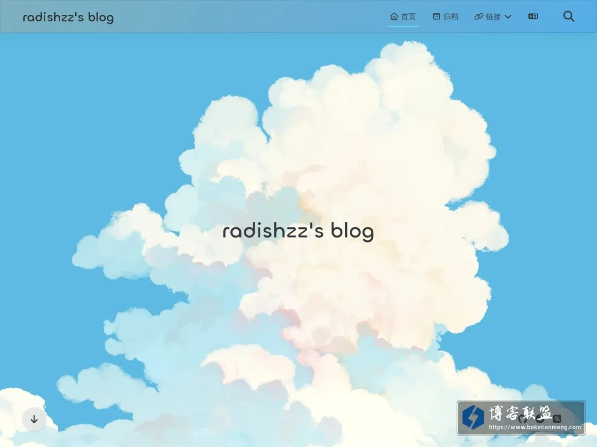 radishzz's blog 的网站快照