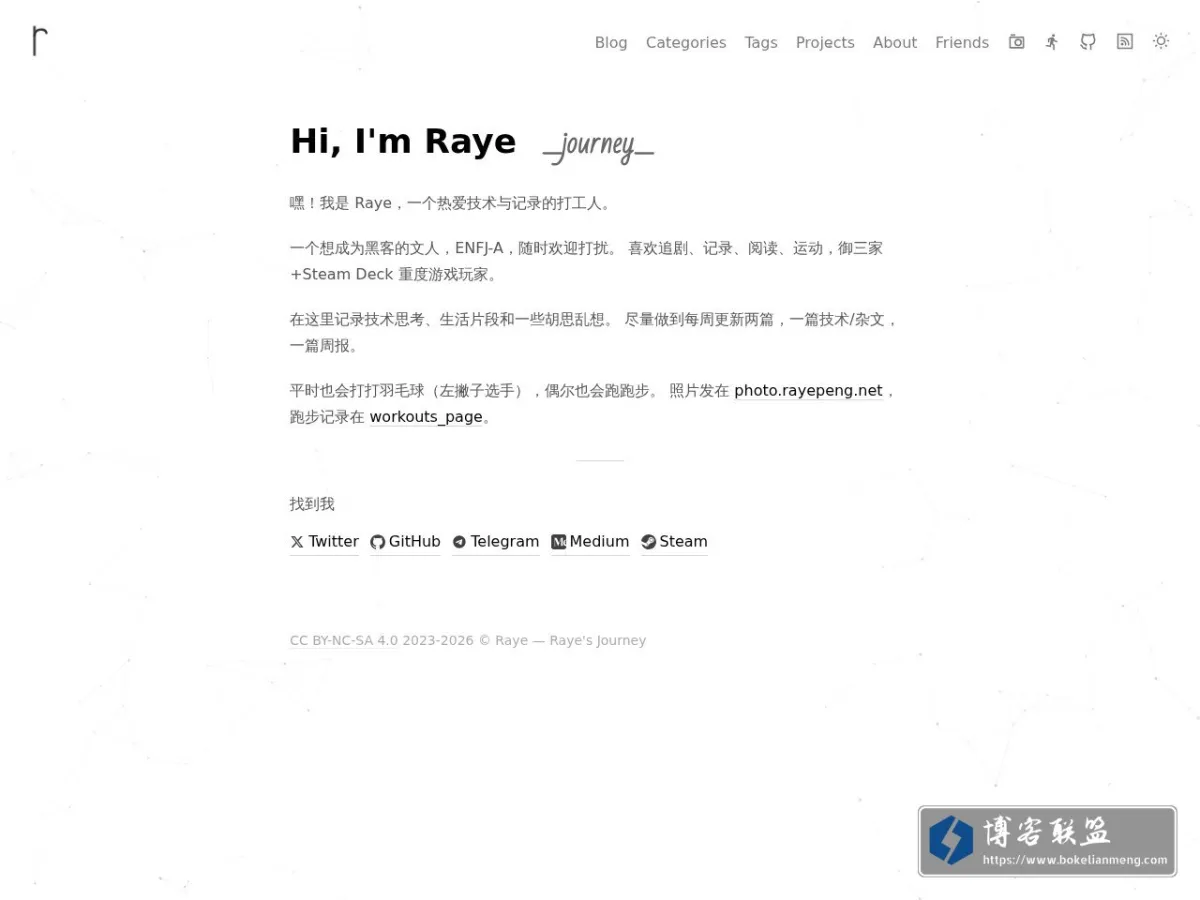 Raye's Journey 的网站快照