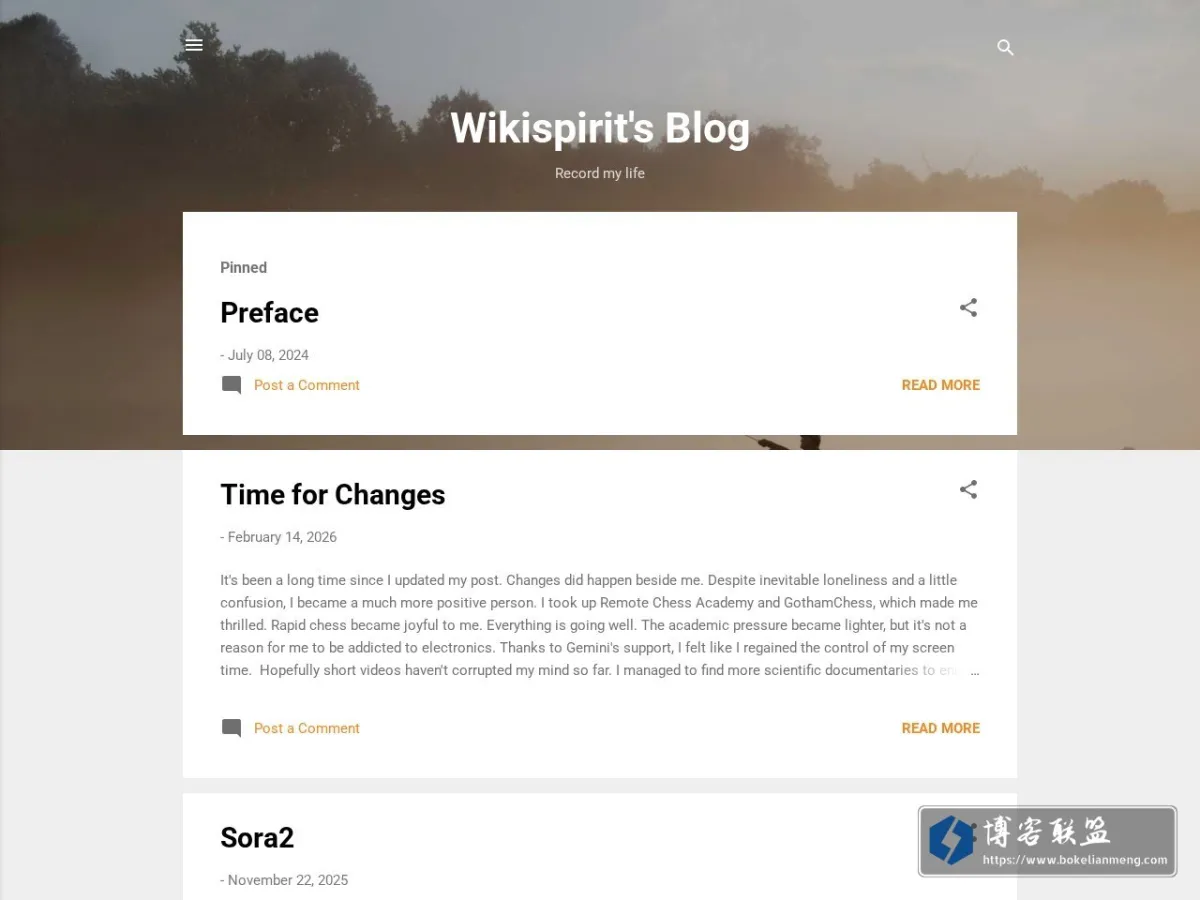Wikispirit's Blog 的网站快照