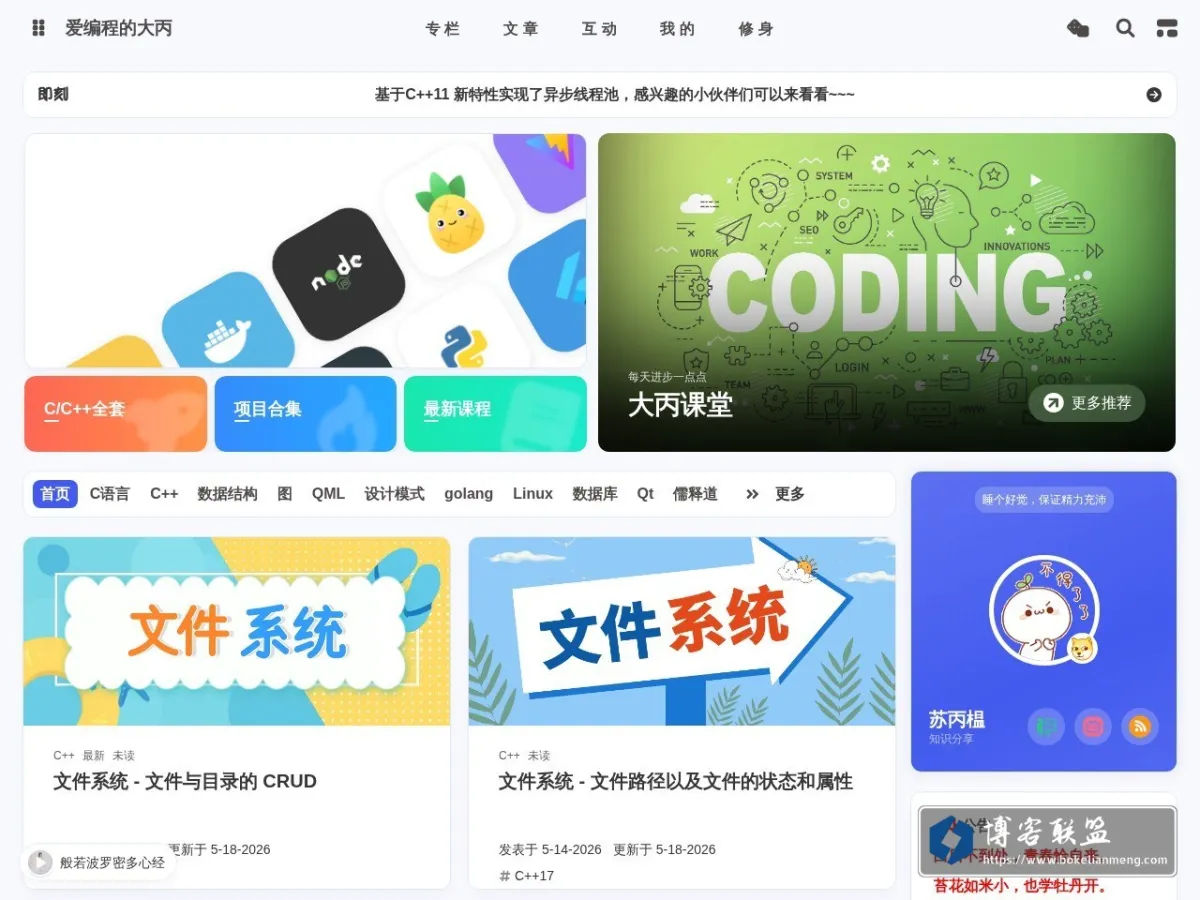 爱编程的大丙 的网站快照
