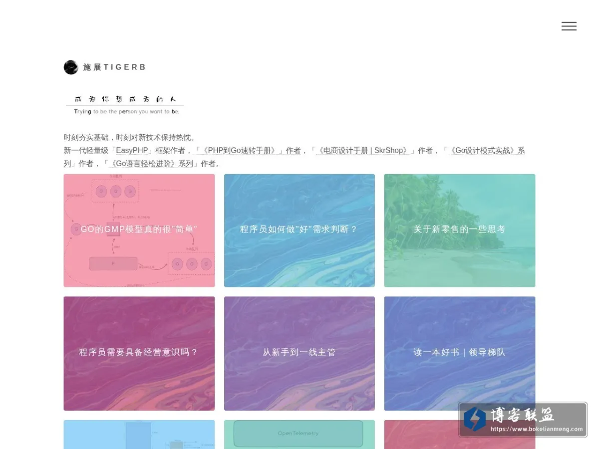 施展TIGERB 的网站快照