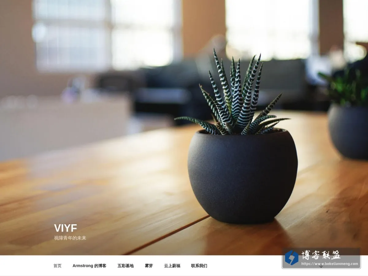 VIYF – 视障青年的未来 的网站快照