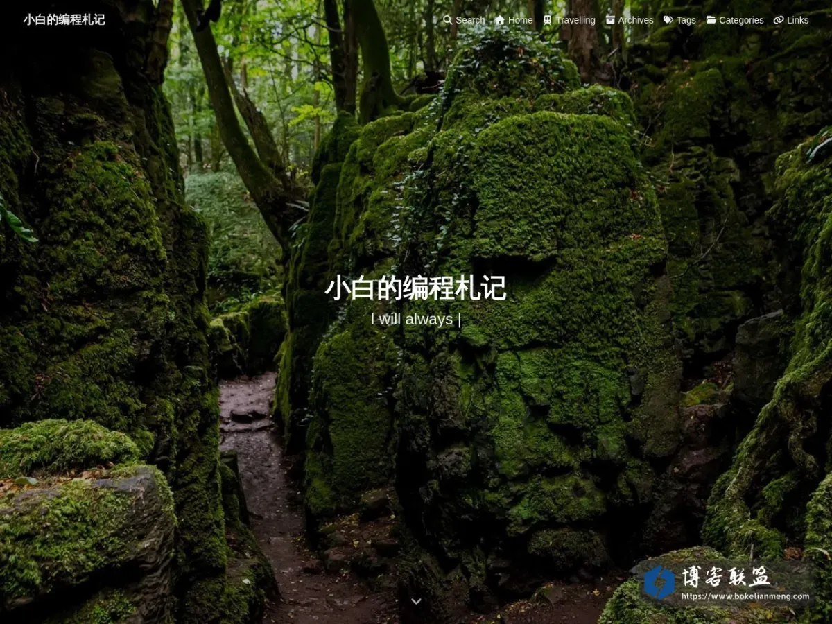 小白的编程札记 的网站快照