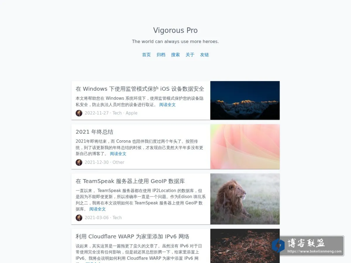 Vigorous Pro 的网站快照