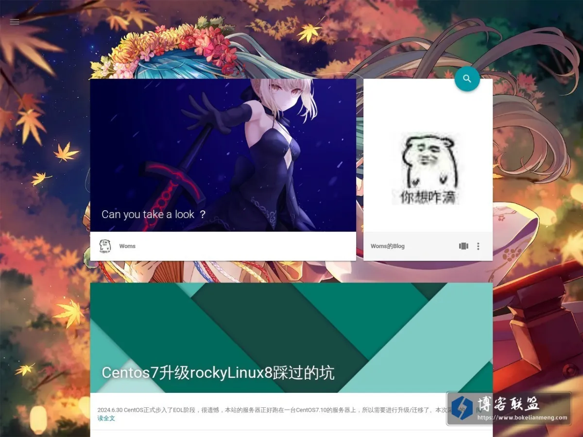 Woms的Blog 的网站快照