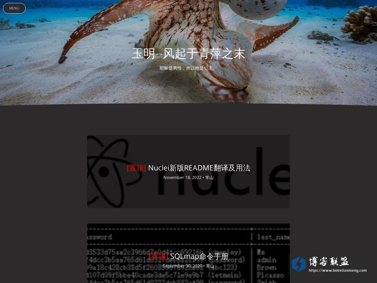 玉明BLOG 的网站快照
