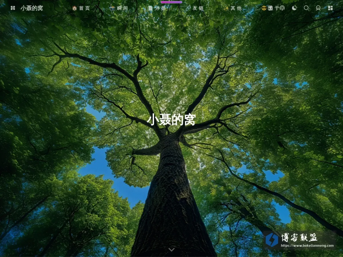 小聂的窝 的网站快照