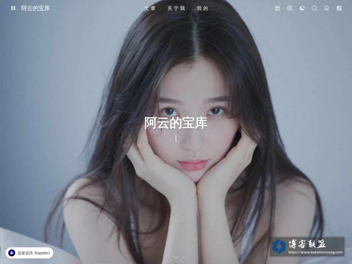 阿云的宝库 的网站快照